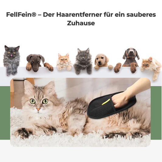 FellFein® – Der Haarentferner für ein sauberes Zuhause